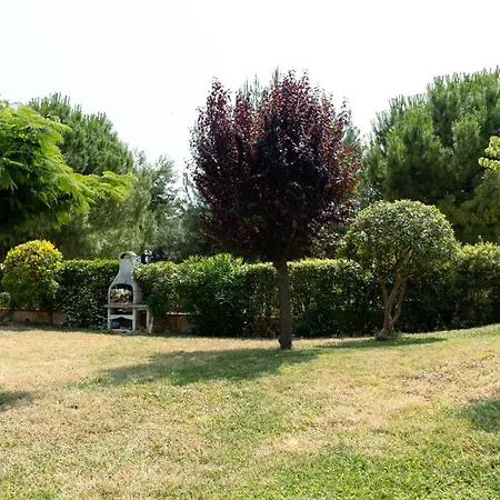 Il Melograno Appartamento Castelfidardo